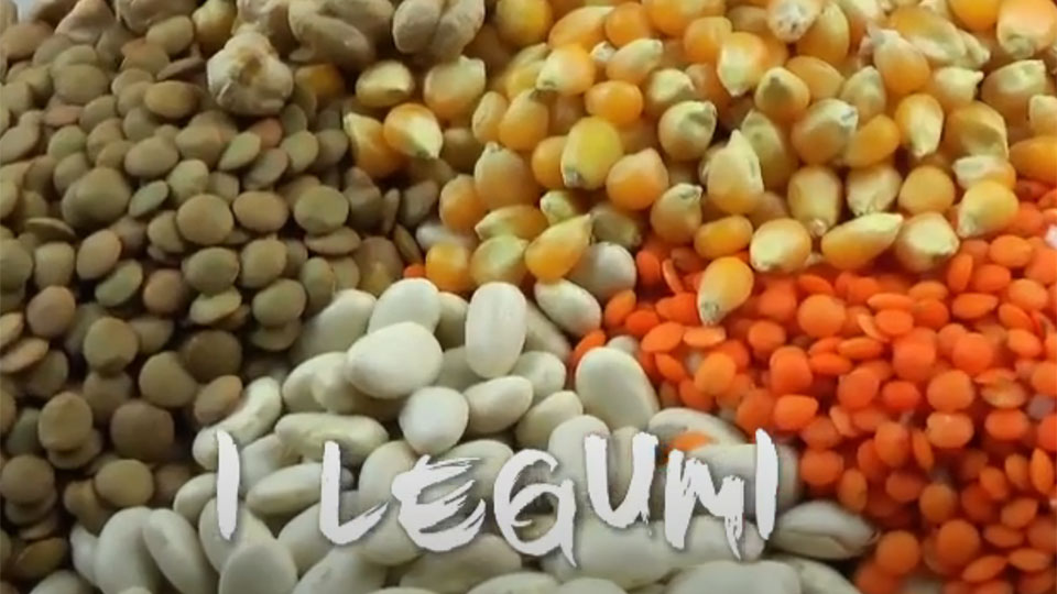 I Legumi - Dott. Mauro Mario Mariani